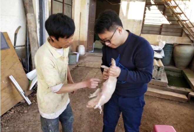 圖片