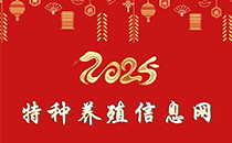  2025新春祝福 | 合集